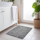 Addison Chantille ACN1228 Gray Rug