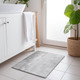 Addison Chantille ACN1844 Gray Rug