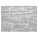 Addison Chantille ACN1849 Gray Rug