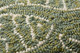 Loloi Pillows P0908 Green Pillow