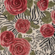 LR Home Sinuous 54107 Multi Rug