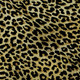 Addison Mayfield AMF43 Gilded Rug
