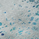 Addison Mayfield AMF63 Shoreline Rug