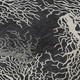 Addison Mayfield AMF182 Midnight Rug