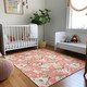 Addison Mayfield AMF185 Peach Rug