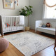 Addison Mayfield AMF198 Fog Rug
