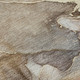 Addison Mayfield AMF500 Beige Rug