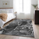 Addison Mayfield AMF503 Gray Rug