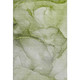 Addison Mayfield AMF508 Olive Rug