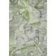 Addison Mayfield AMF519 Green Rug