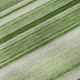 Addison Mayfield AMF529 Aloe Rug