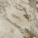 Addison Mayfield AMF538 Khaki Rug
