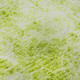 Addison Mayfield AMF553 Aloe Rug