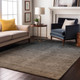 Addison Mayfield AMF569 Gray Rug