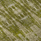Addison Mayfield AMF580 Olive Rug