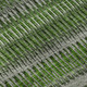 Addison Mayfield AMF589 Green Rug