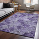 Addison Mayfield AMF594 Purple Rug
