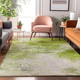 Addison Mayfield AMF595 Aloe Rug