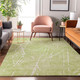 Addison Mayfield AMF628 Aloe Rug