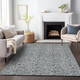 Addison Mayfield AMF661 Gray Rug