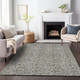 Addison Mayfield AMF661 Taupe Rug
