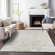 Addison Mayfield AMF673 Beige Rug