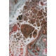 Addison Mayfield AMF682 Paprika Rug