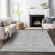 Addison Mayfield AMF691 Silver Rug
