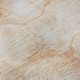 Addison Mayfield AMF699 Coral Rug
