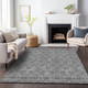 Addison Mayfield AMF702 Gray Rug