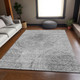 Addison Mayfield AMF713 Gray Rug