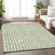 Addison Mayfield AMF727 Aloe Rug