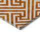 Addison Mayfield AMF731 Orange Rug