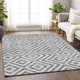 Addison Mayfield AMF733 Gray Rug