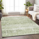Addison Mayfield AMF747 Aloe Rug