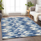 Addison Mayfield AMF750 Blue Rug