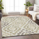 Addison Mayfield AMF761 Beige Rug