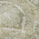 Addison Mayfield AMF810 Tan Rug