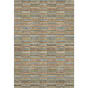 Addison Mayfield AMF816 Paprika Rug