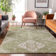 Addison Mayfield AMF847 Aloe Rug