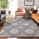 Addison Mayfield AMF849 Gray Rug