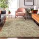 Addison Mayfield AMF856 Aloe Rug