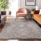 Addison Mayfield AMF863 Gray Rug