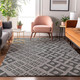 Addison Mayfield AMF866 Gray Rug