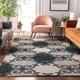 Addison Mayfield AMF883 Gray Rug