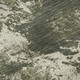 Addison Mayfield AMF885 Olive Rug