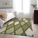 Addison Mayfield AMF887 Olive Rug