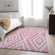Addison Mayfield AMF891 Pink Rug