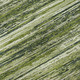 Addison Mayfield AMF896 Olive Rug