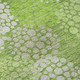 Addison Mayfield AMF908 Green Rug